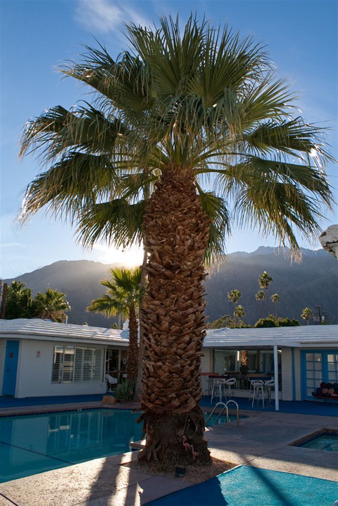 Hotel Palm Springs Rendezvous Extérieur photo